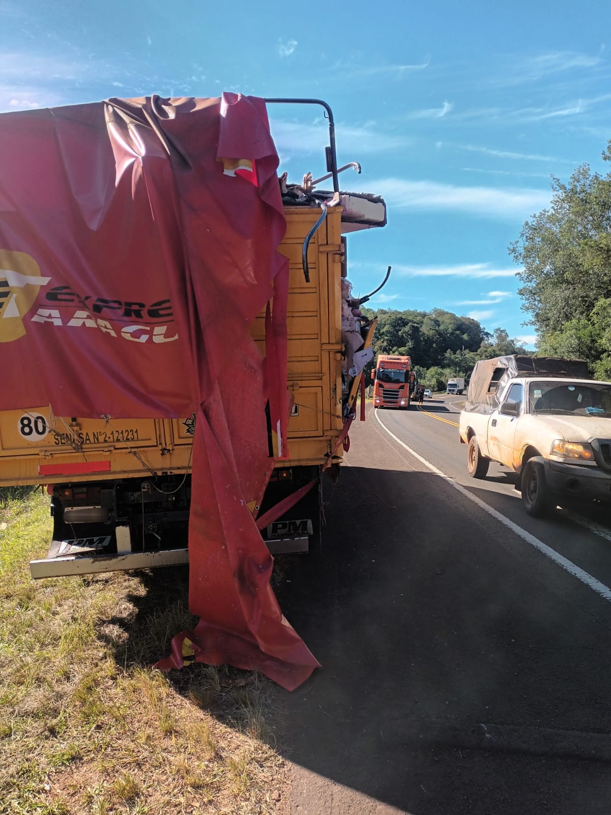 Un camión perdió parte de su carga de vinos tras un choque sobre la Ruta Nacional 12 en Capioví 4
